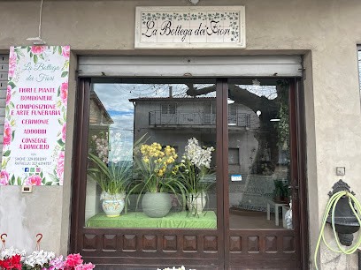 La Bottega Dei Fiori, Fiorista a Guardia Sanframondi