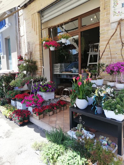 Fioridea Di D'Agostino Francesca, Fiorista a Pianella