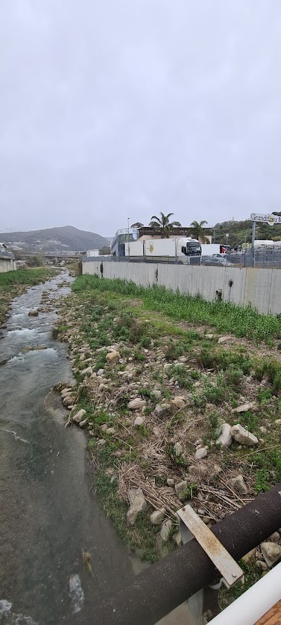 Grandiflora Sanremo Export S.p.a. - Esportazione Fiori E Verde Reciso, Fiorista a Sanremo