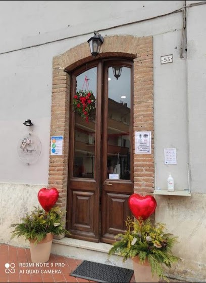 Fior di Giuggiola, Fiorista a Contigliano