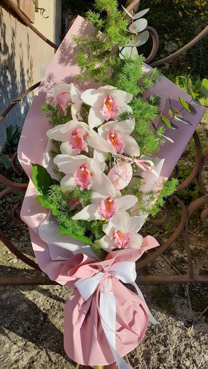 Ortofresco, Fiorista a Pennabilli