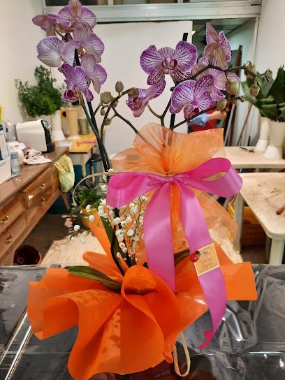 Il Coccio Fiorito, Fiorista a Taranto