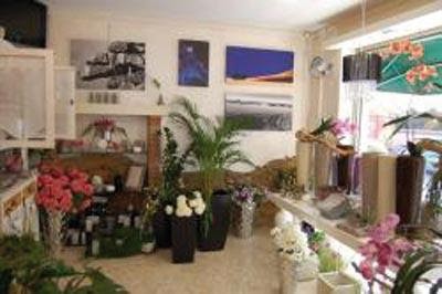 Fiori E Piante Pighetti Daniela, Fiorista a Piombino