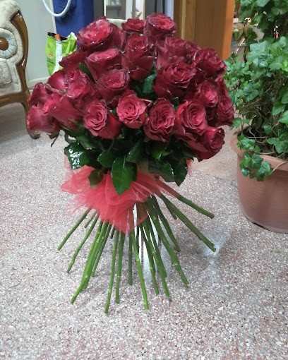 By Chiara, Fiorista a Sersale