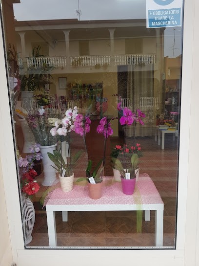 La Magia dei Fiori di Daiana Dicembre, Fiorista a Feroleto della Chiesa