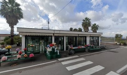 Non Solo Fiori La Fiorita, Fiorista a Sarno