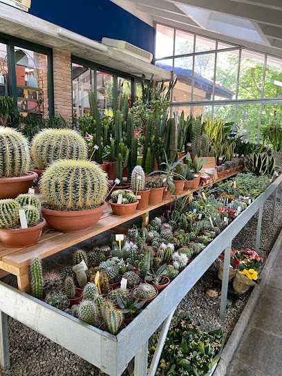 Il Giardiniere Sas di Braguti Fabio & C., Fiorista a Caravate