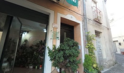 La Rugiada Fiori e Piante di Ninniri Antonella, Fiorista a Bolotana