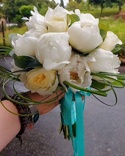 Artemis Fiori e Piante, Fiorista a Volterra