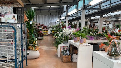Garden Center Emmedue, Fiorista a Castelli Calepio