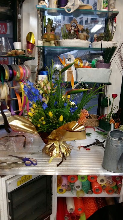 La Nuova Flora 2003 Sas, Fiorista a Roma