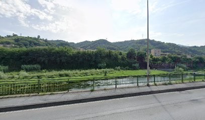 Vercellino Paolo, Fiorista a Genova