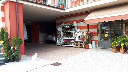 Fiori Borgogno, Fiorista a Fossano