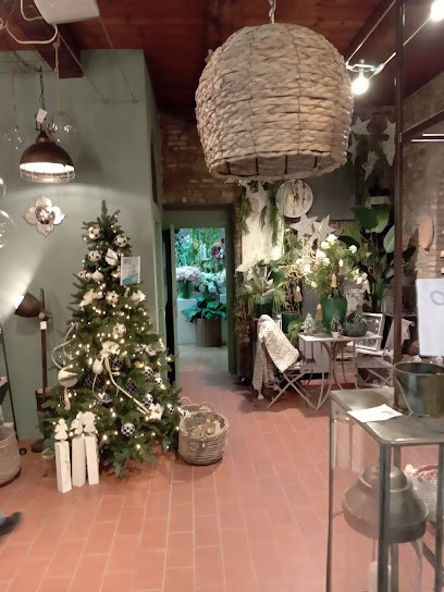 Giardino Di S.Maria S.R.L., Fiorista a Pesaro