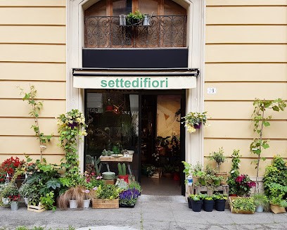 Settedifiori Shop, Fiorista a Modena
