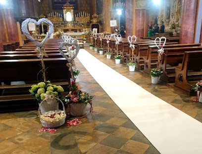 Villanova Fiori Di Gaviglio Katia Fioreria villanovese, Fiorista a Villanova Canavese