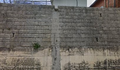 TECNO PELLET, Fiorista a Spinete