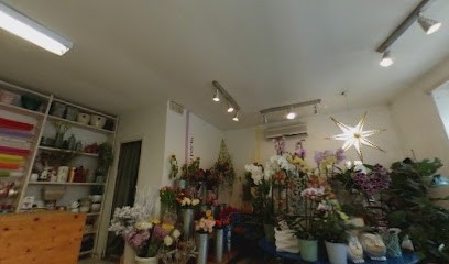 Clorofilla - Decorazioni floreali, Fiorista a Bassano Romano