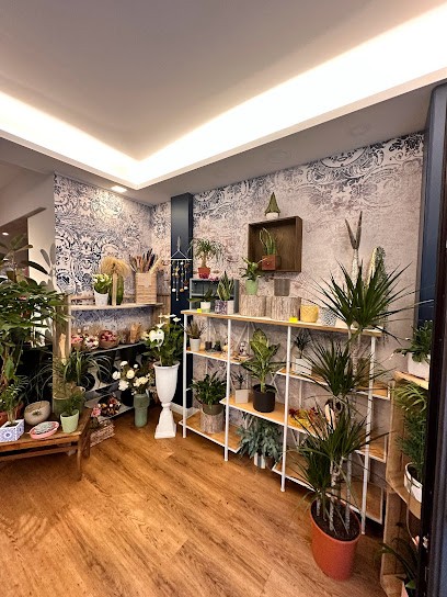 Fiorista Fiord'Elisa, Fiorista a Castelnovo ne' Monti