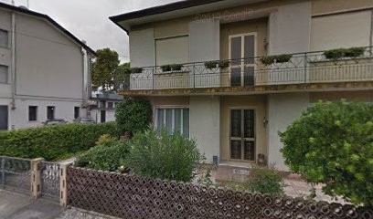 Fiori D'arte L'arte Dei Fiori Pressati, Fiorista a Oderzo