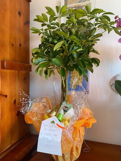 Fiorista Gisella, Fiorista a Broni