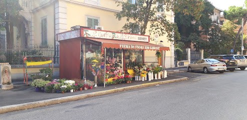 Fiera di Fiori, Fiorista a Bologna