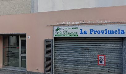 Schiavone Angiolina, Fiorista a Lurate Caccivio