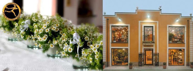 Il Tulipano Nero Di Avati Maria, Fiorista a Polistena