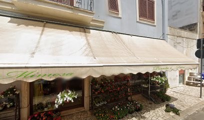 La Mimosa Di Cuppone Annamaria, Fiorista a Neviano