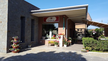 I Fiori Di Cristina Di Ravasio Maria Cristina, Fiorista a Sotto il Monte Giovanni XXIII