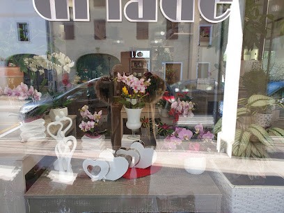 Driade, Fiorista a Roveredo in Piano