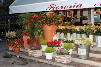 Fioreria Moioli, Fiorista a Scanzorosciate