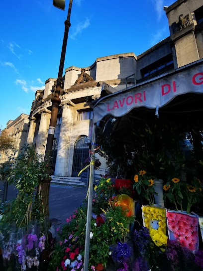 Piante E Fiori Girgis Adil Girgis, Fiorista a Roma