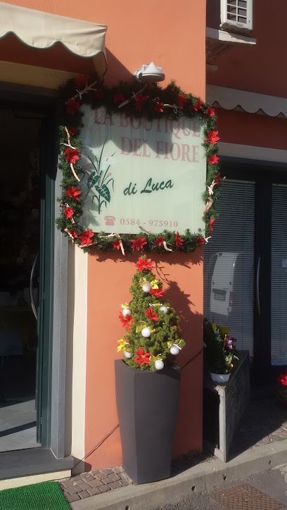 Fiorista Pighini Luca, Fiorista a Massarosa