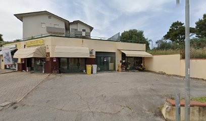 Fiori Di Pesco Piante E Fiori, Fiorista a Castelfidardo