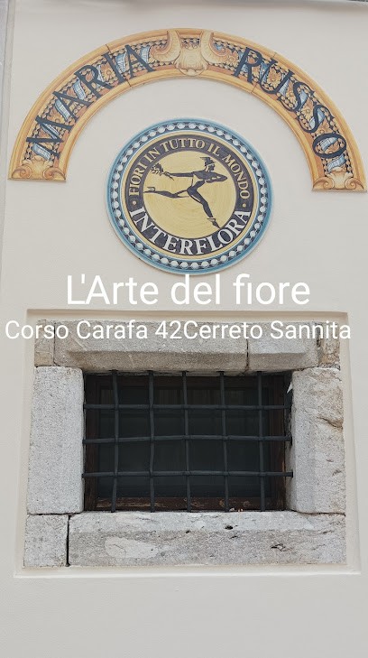 L'arte Del Fiore Di Maria Russo, Fiorista a Cerreto Sannita