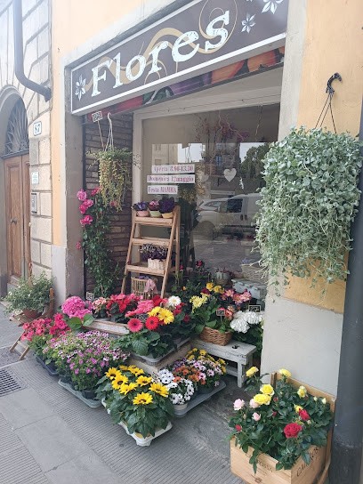 Flores Fiori Di Veronica Moradei, Fiorista a Firenze