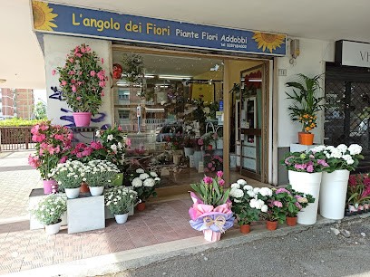 L'Angolo Dei Fiori Di Guglielmo Tita, Fiorista a Latina
