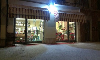 Rosalinda Fioreria Di Cenni Linda, Fiorista a Imola