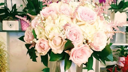 Maryflor, Fiorista a San Benedetto del Tronto