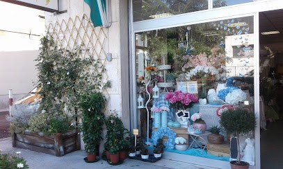 Fiore Gian.Do Di Broccoli Gianna, Fiorista a Cassino