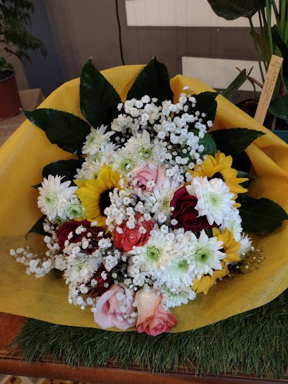 Edenia Fiori Fioraio Modugno, Fiorista a Modugno