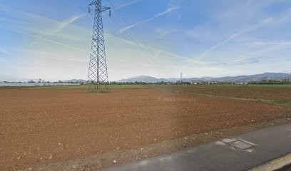 Fratelli Lissi S.N.C., Fiorista a Lallio