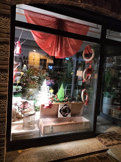 Angolo Verde Snc - Fiori Piante Ed Accessori, Fiorista a Zocca