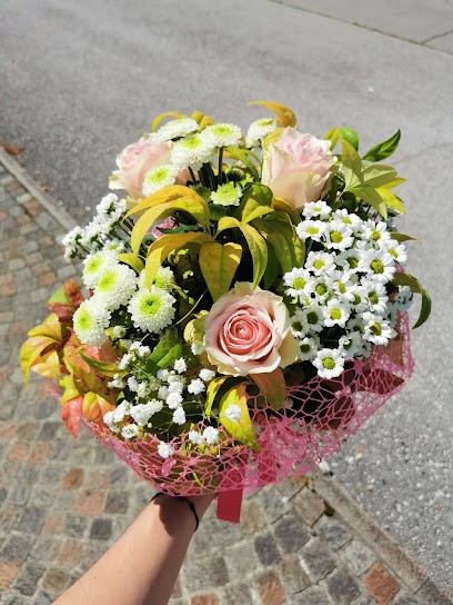 Fioreria FANTASIA - Vendita Piante E Fiori, Addobbi Floreali, Fiorista a Santa Giustina