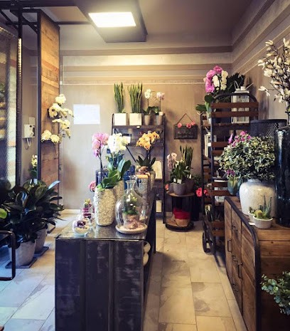 I Fiori Di Barbara, Fiorista a Ome