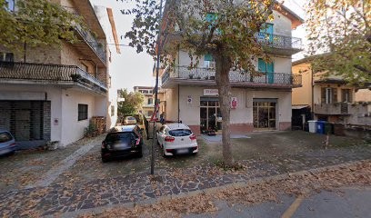 La Gardenia Di Melania D'Ercole, Fiorista a Scerni