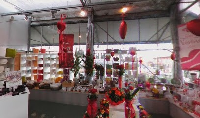 Trentin Garden G. Trentin & Figli Di Trentin Alessandro & C. SNC, Fiorista a Pordenone