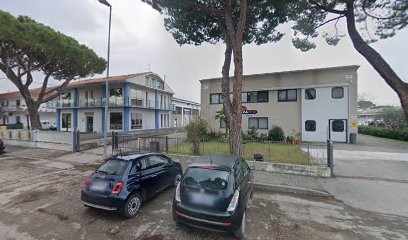 Romagna Fiori Di Bravi Daniele & C. Snc, Fiorista a Riccione