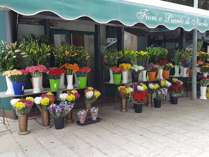 Fiori E Piante Coppola Nicolò, Fiorista a Trapani